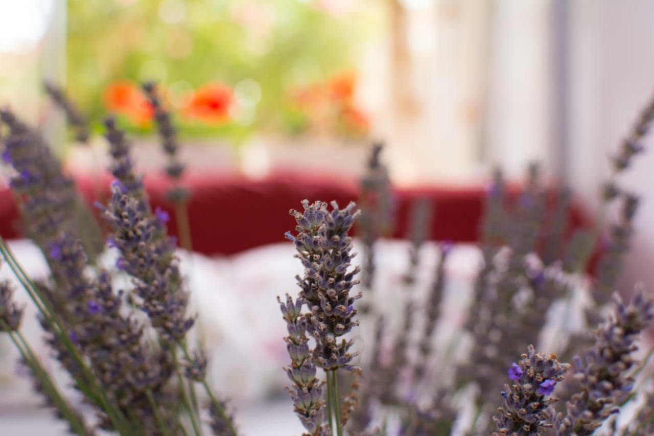 Apartment Vida - Amazing Place With Garden And Terrace Рийека Екстериор снимка